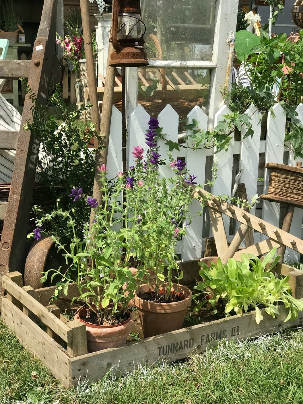 Caja de madera con macetas de flores y plantas verdes en una escena de jardín rústica con una valla blanca y herramientas antiguas.