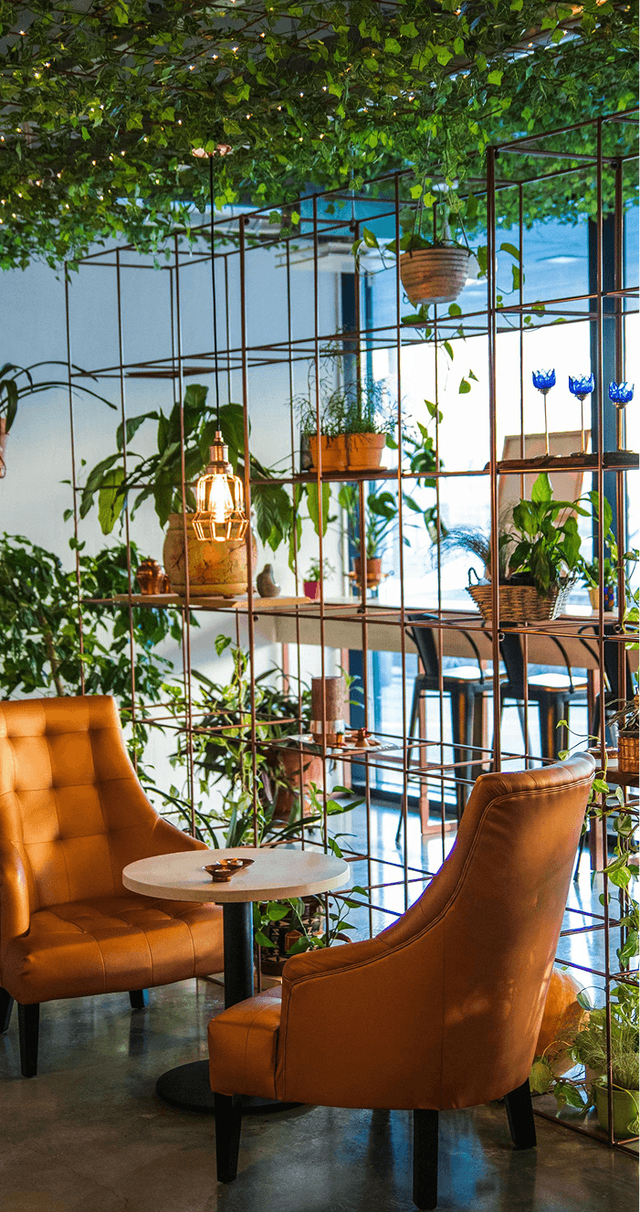 Rincón acogedor de cafetería con dos sillones de cuero marrón, mesa redonda y muchas plantas alrededor con luz cálida ambiental.